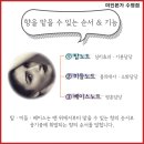 미인아로마테라피