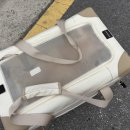 냥클래스 | 송파 고양이미용 냥클래스 직접 다녀온 후기 (feat. 갓성비 고양이호텔)