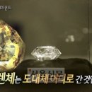 다이아몬드 서울신문