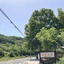 비룡농원 이미지