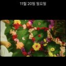 흠칫나눔모먼트 | 22.11.20 조휴일 사랑해 나 가져(원한다면…)