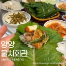 설악냉삼 | 물치 고기집 셀프 볶음밥까지 완벽한 물치회관