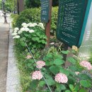 산업은행앞 인도 | 6번째 10km 마라톤 후기 - 긍정의 힘 마라톤