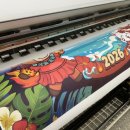 왈로하그루밍 이미지