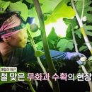 장씨농장 이미지