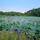 월호마을회관 이미지