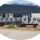 삼부자미나리 이미지