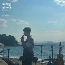 루시드비버 이미지