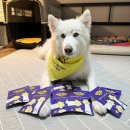 깨끗한 나라 이미지