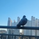 문현여자중학교 이미지