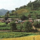 하천리-2 이미지