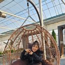 덕바위마을 이미지