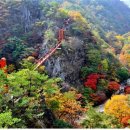 만추가경