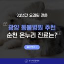 온누리동물병원 | 광양 동물병원 추천 온누리 진료 안내