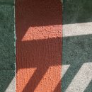 벌말초 앞 육교 이미지