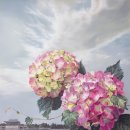 순환의바람으로부터 이미지