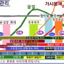 꿀벌 비상사태! 연간 유기 양봉 관리(안) 이미지