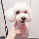 도담도담이발소 이미지