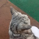 백송이헤어샵 | 2026 MAY - 🩵