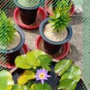 기장효사랑 이미지