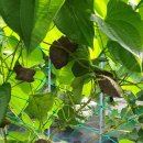 찬호농장 이미지