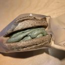 망고&체리 애견샵 이미지