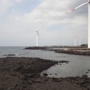 용당포구 이미지