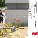 고운동_세종누리학교 이미지