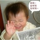 프로젝트88
