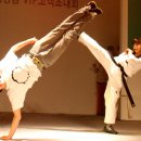 신명태권도 이미지