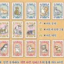 플레이 바우 | 귀여운 고양이와 강아지 일러스트 그림이 돋보이는 보드게임 오!미우바우 보드게임 후기
