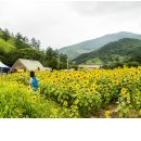 태백농장 이미지