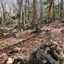 판상농장 이미지