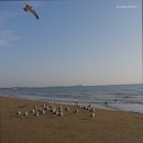 몽산포패밀리데이캠핑장 | 태안 캠핑장 몽산포패밀리데이캠핑장 시설 좋은 캠핑장