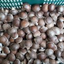 김만식농장 이미지