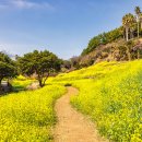 이랜드파크 켄싱턴 호텔 평창 이미지