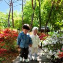 펄벅공원에 산책 다녀왔어요~🩷 이미지