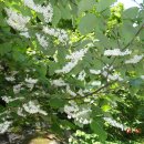 탑클라스 이미지