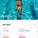 수영-303 이미지