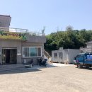 강변자연산횟집 이미지