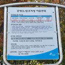 서울종묘사 이미지