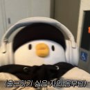 홍스족발