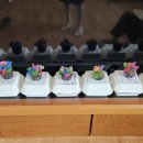 육통1리 이미지