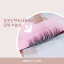 오블리속눈썹 이미지