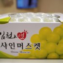 이봄마켓