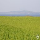 종달스토리 이미지