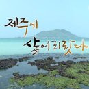 그린민박투 티스토리