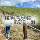 오성만세 | 10월 아이랑 제주여행, DAY3 새별오름 제주오성갈치 어린왕자감귤밭 중문 베이힐풀앤빌라 더캐슬