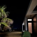 흰고래 숨비 이미지