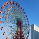 정답나라 | 오사카 교토 나라 고베 버스투어 비교 | 6인 대가족 당일치기 일일투어 후기